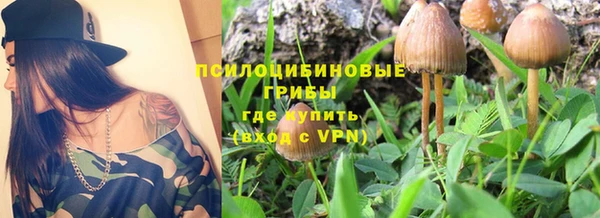 прущие крисы Саяногорск