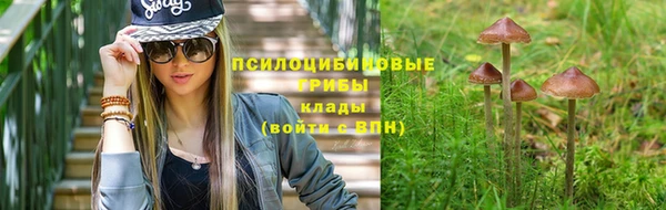 шишки Рославль