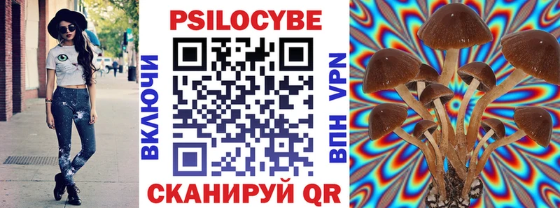 Псилоцибиновые грибы Cubensis  где купить   Сольцы 